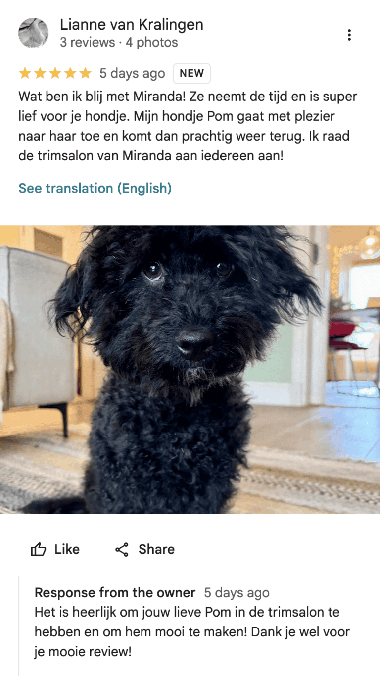 Review Beer hondetrimsalon van snuit tot kwispel.