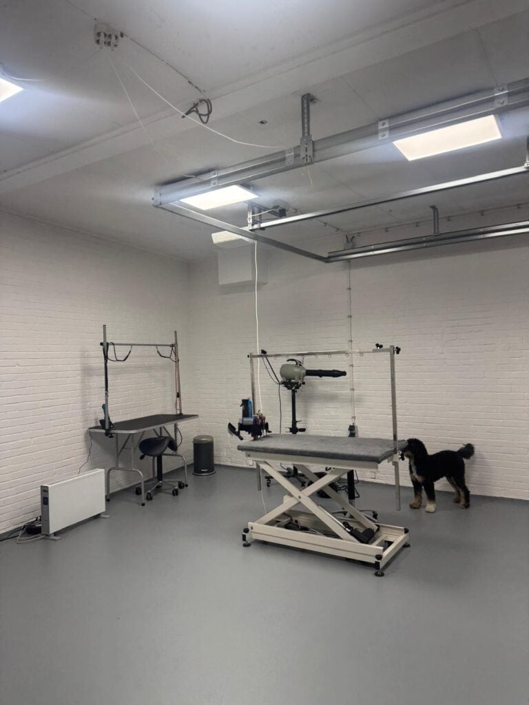 Trimsalon ruimte met trimtafel bij hondentrimsalon hilversum van Snuit tot Kwispel