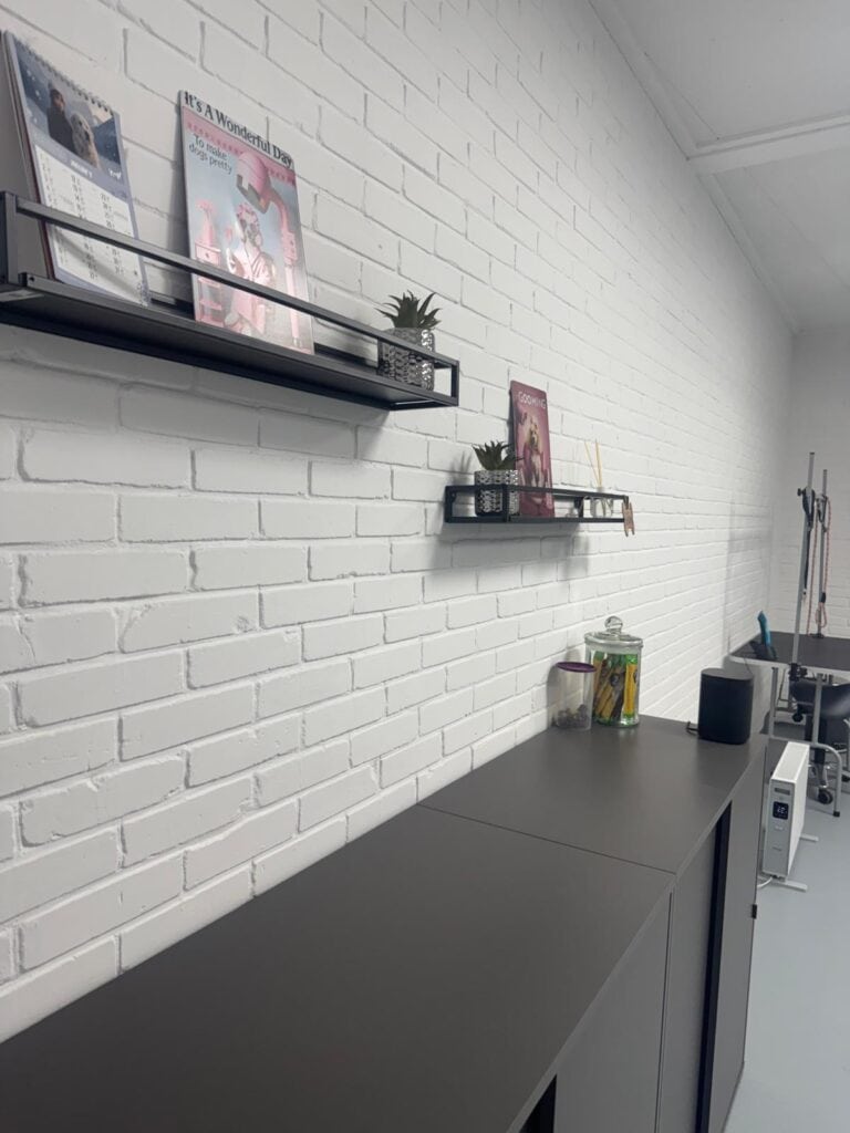 Honden trimsalon ruimte bij hondentrimsalon hilversum van Snuit tot Kwispel