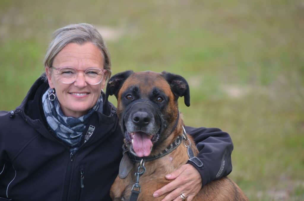 James, een kruising Mechelse Herder X Boxer