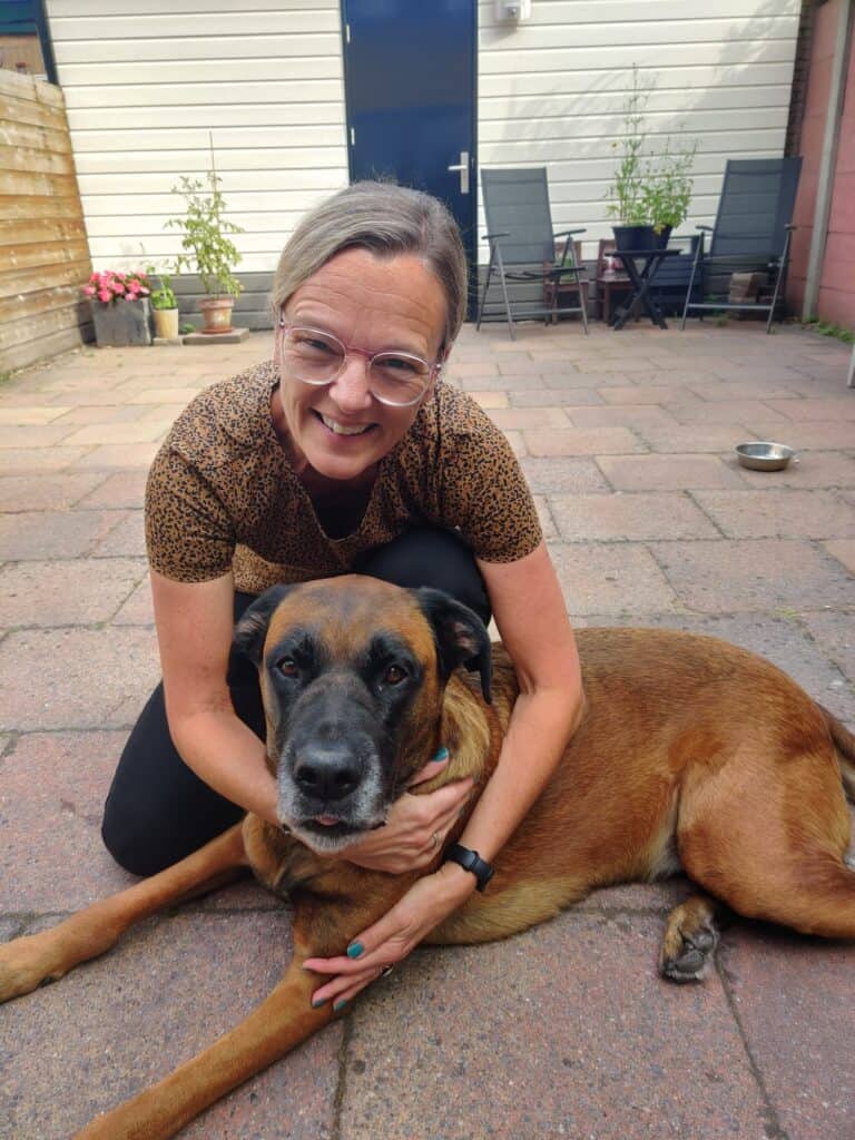 James, een kruising Mechelse Herder X Boxer