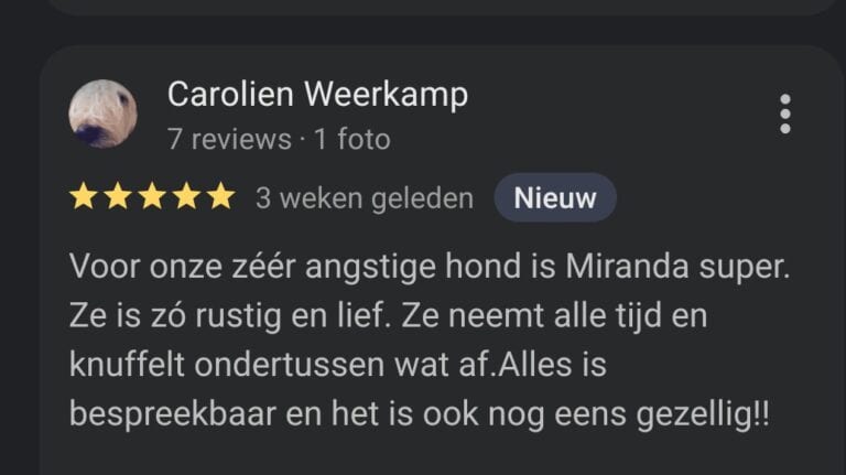 WhatsApp Image 2026-04-06 at 21.02.31 (2)