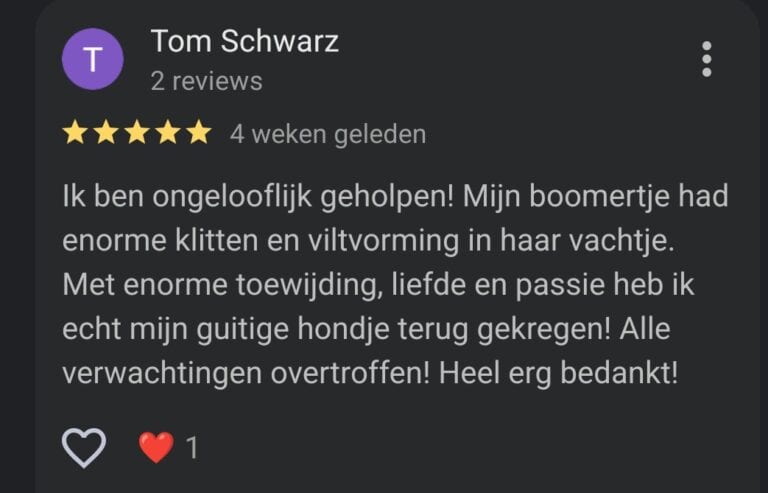 WhatsApp Image 2026-04-06 at 21.02.31